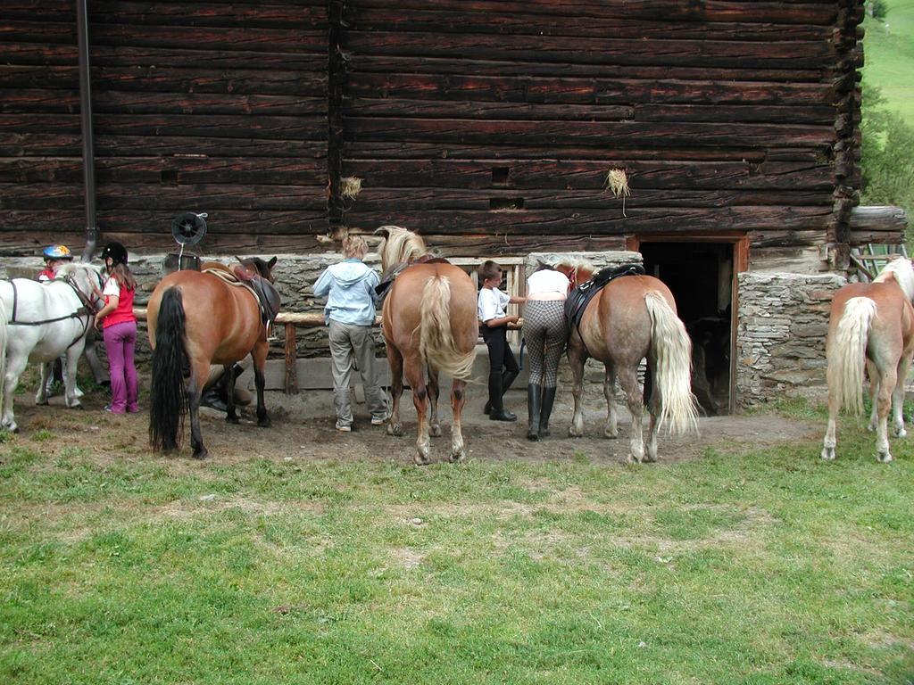 Familienparadies Wolfgangbauer Heiligenblut Extérieur photo