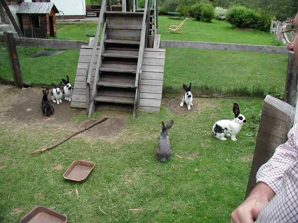 Familienparadies Wolfgangbauer Heiligenblut Extérieur photo